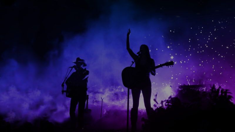 Redwest kaseym color overlay concert