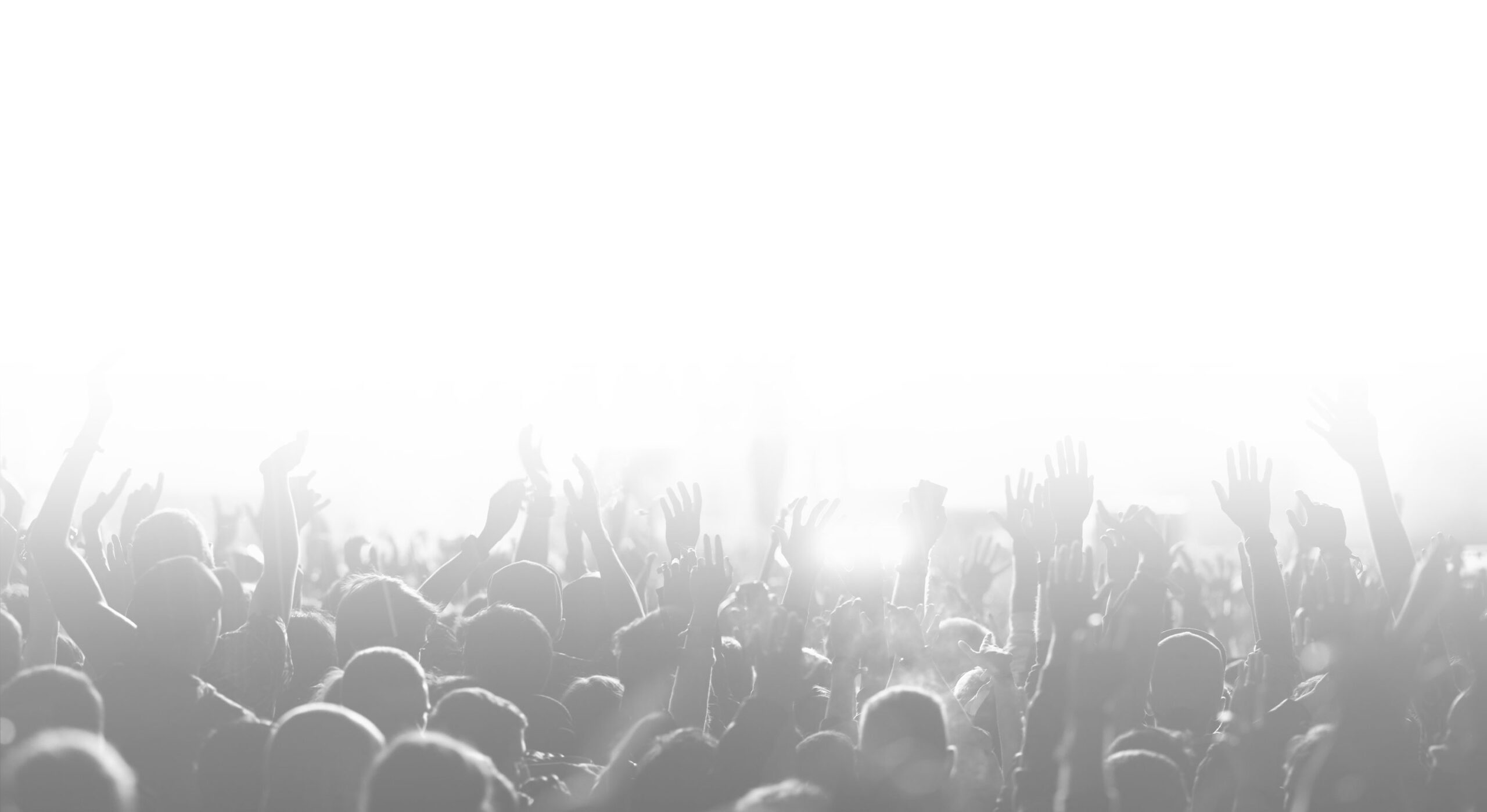 Crowd with raised hands at concert festival