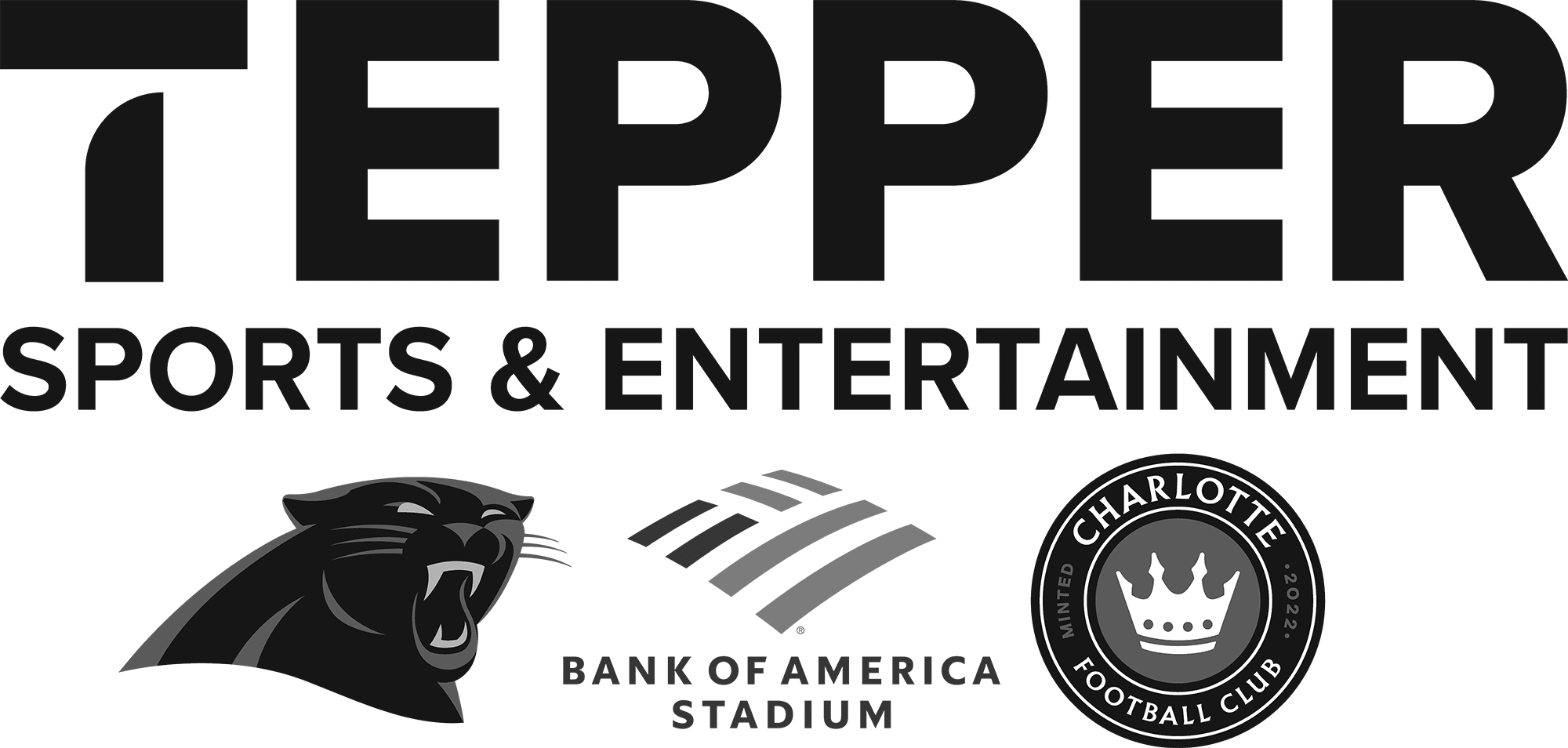Tepper Sports & Entertainment logo