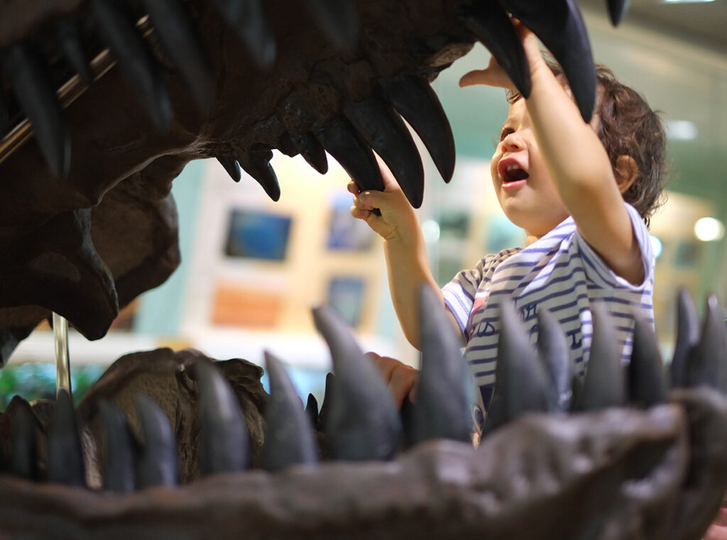 Little baby in dinosaur mouth looking teeth little boy looking at fossil
